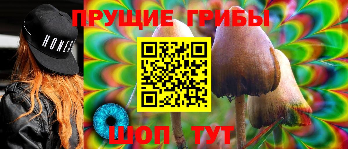 цены   Псилоцибиновые грибы Psilocybine cubensis  Галлюциногенные грибы Psilocybine cubensis  Вход с VPN  Чусовой 